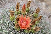 slides/140926_029_a.html