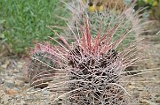 slides/140926_039_a.html