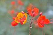 slides/140926_054_a.html