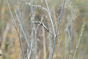 slides/140927_006_a.html