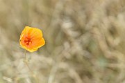 slides/140927_009_a.html
