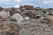 slides/140927_024_a.html