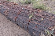 slides/140927_028_a.html