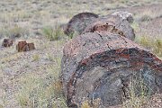 slides/140927_038_a.html