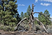 slides/140928_084_a.html