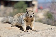 slides/140929_026_a.html