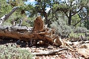 slides/140929_045_a.html