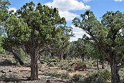 slides/140929_068_a.html