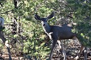 slides/140929_093_a.html