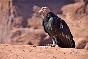 slides/140930_030_a.html