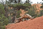 slides/141001_003_a.html