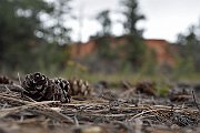 slides/141001_006_a.html