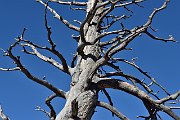 slides/141001_064_a.html