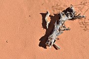 slides/141002_009_a.html