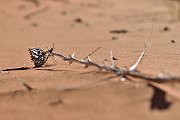 slides/141002_039_a.html