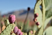 slides/141002_048_a.html