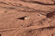 slides/141002_052_a.html