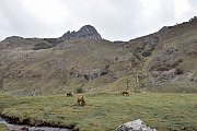 slides/141114_063_a.html