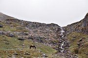 slides/141115_007_a.html