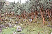slides/141115_017_a.html
