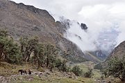 slides/141115_025_a.html