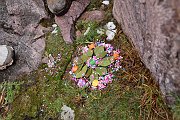 slides/141115_042_a.html
