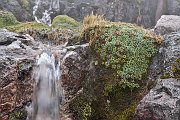 slides/141115_054_a.html