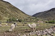slides/141115_091_a.html