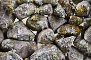 slides/141115_094_a.html