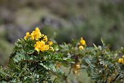 slides/141115_103_a.html