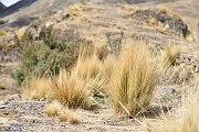 slides/141116_048_a.html
