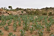 slides/141109_046_a.html