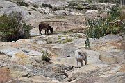 slides/141110_042_a.html