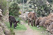 slides/141110_045_a.html