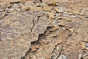 slides/141110_051_a.html