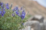 slides/141110_054_a.html
