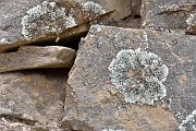 slides/141110_060_a.html