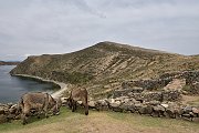 slides/141110_061_a.html