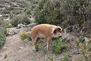 slides/141110_118_a.html