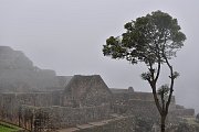 slides/141117_009_a.html
