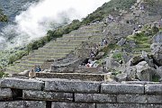 slides/141117_038_a.html
