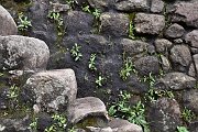 slides/141117_057_a.html