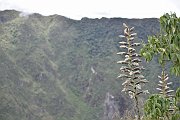 slides/141117_080_a.html