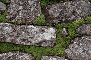slides/141117_095_a.html