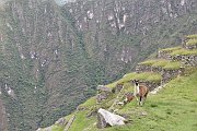 slides/141117_156_a.html