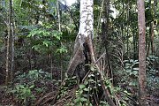 slides/141119_017.html