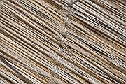 slides/141111_045_a.html