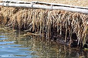 slides/141111_065_a.html