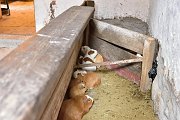 slides/141114_003_a.html