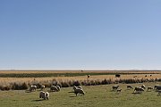 slides/141104_041_a.html